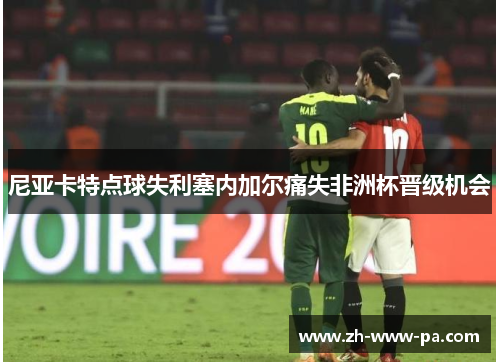 尼亚卡特点球失利塞内加尔痛失非洲杯晋级机会 尼亚卡特点球失利塞内加尔痛失非洲杯晋级机会